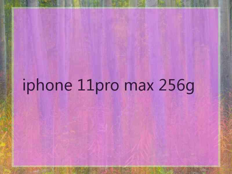 iphone 11pro max 256g