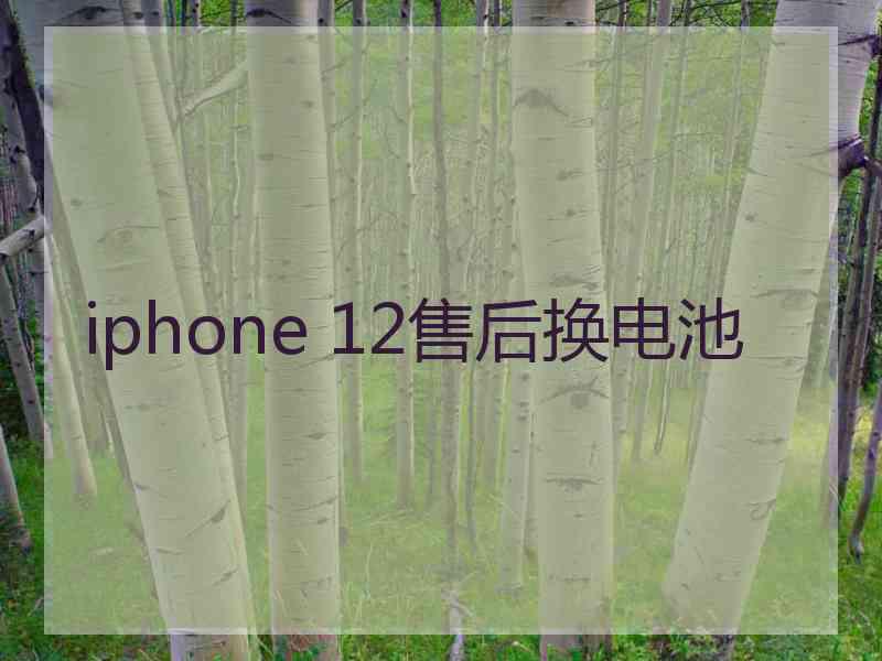 iphone 12售后换电池