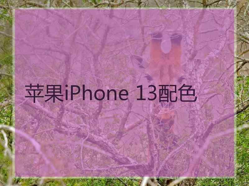 苹果iPhone 13配色