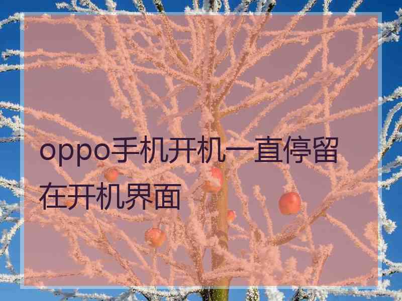 oppo手机开机一直停留在开机界面