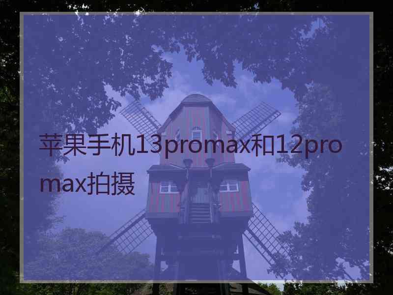 苹果手机13promax和12promax拍摄