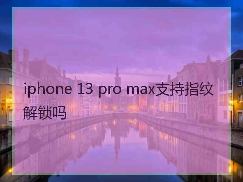 iphone 13 pro max支持指纹解锁吗