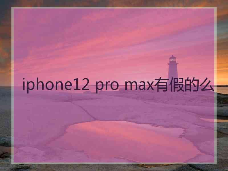 iphone12 pro max有假的么