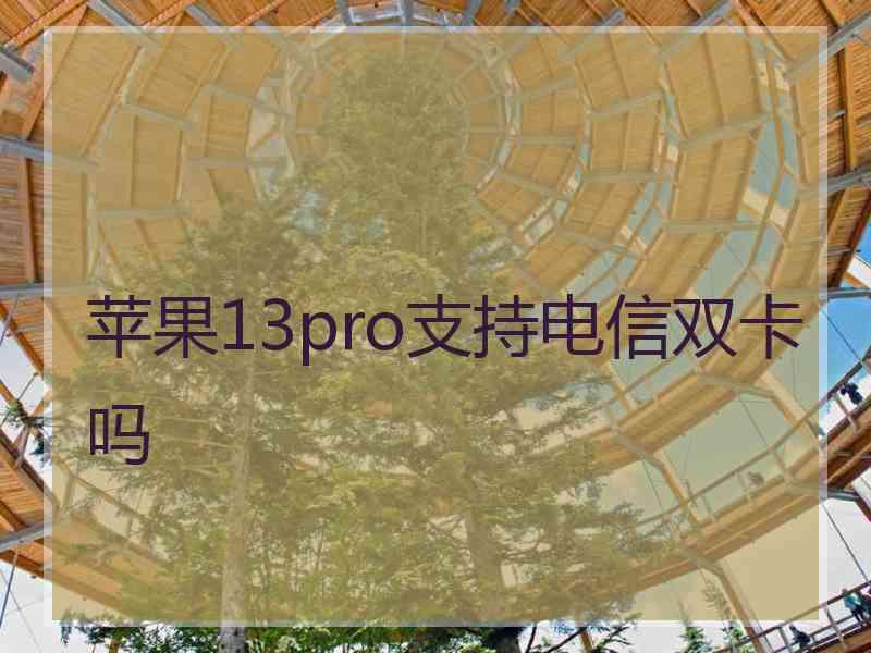 苹果13pro支持电信双卡吗