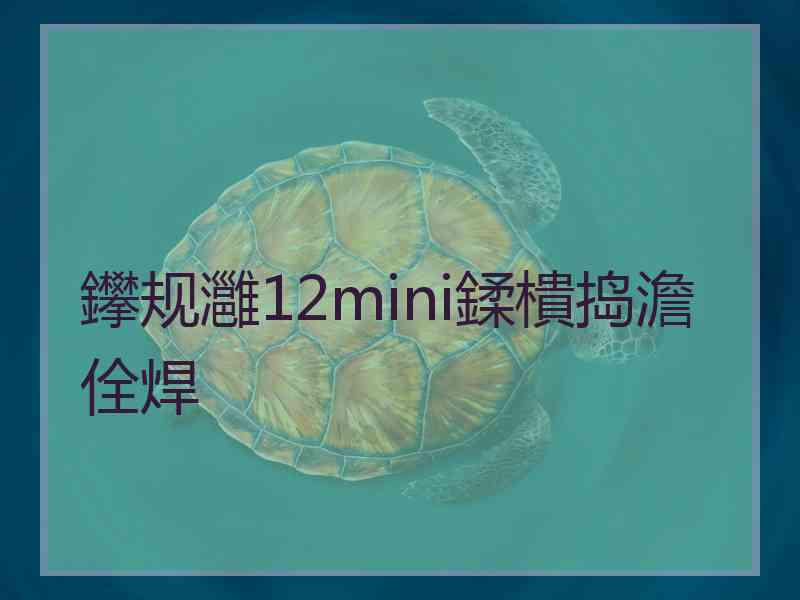 鑻规灉12mini鍒樻捣澹佺焊