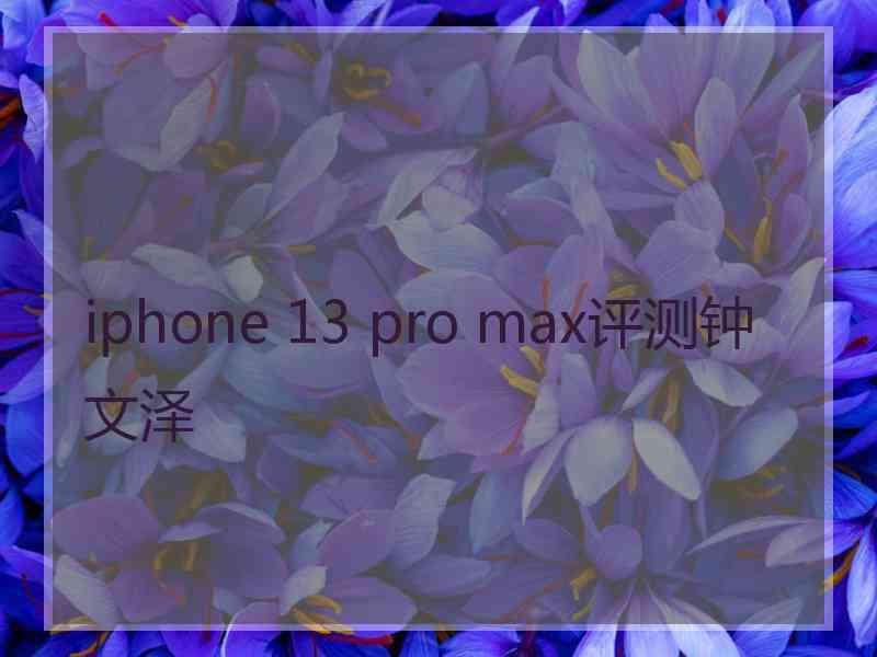 iphone 13 pro max评测钟文泽