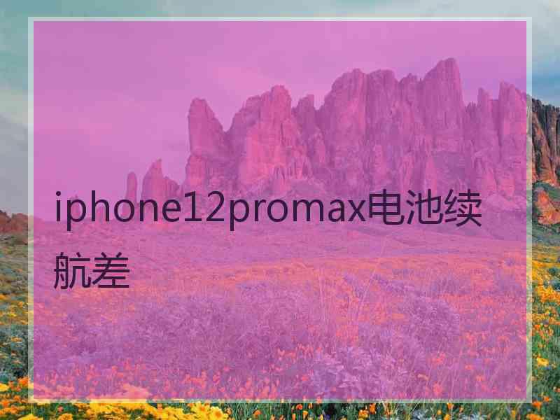 iphone12promax电池续航差