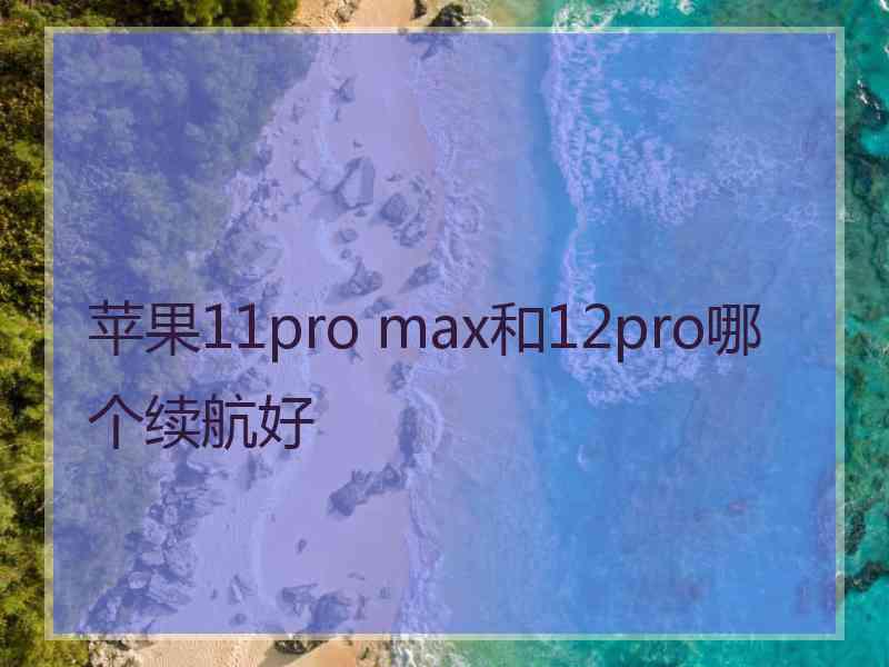 苹果11pro max和12pro哪个续航好