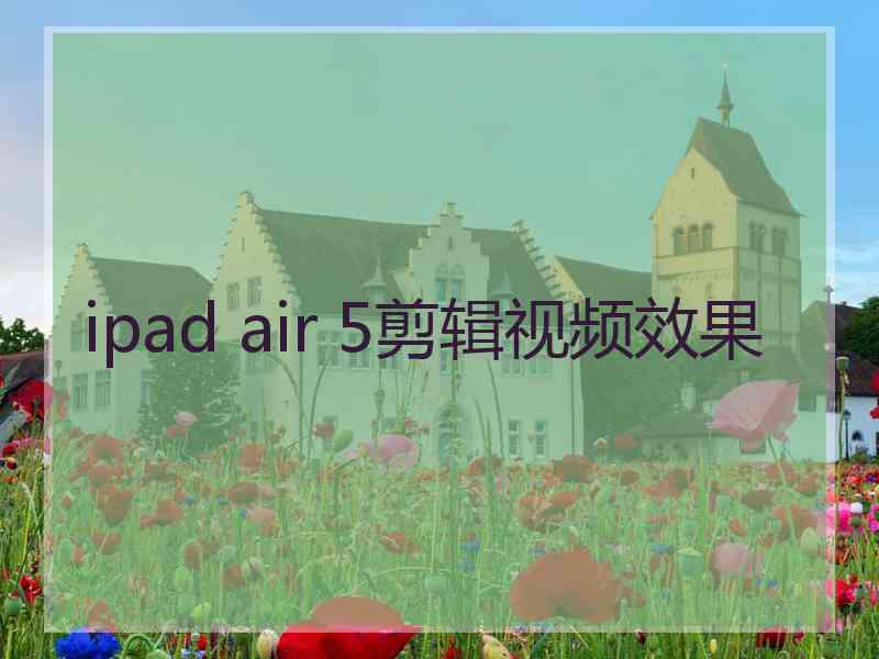 ipad air 5剪辑视频效果