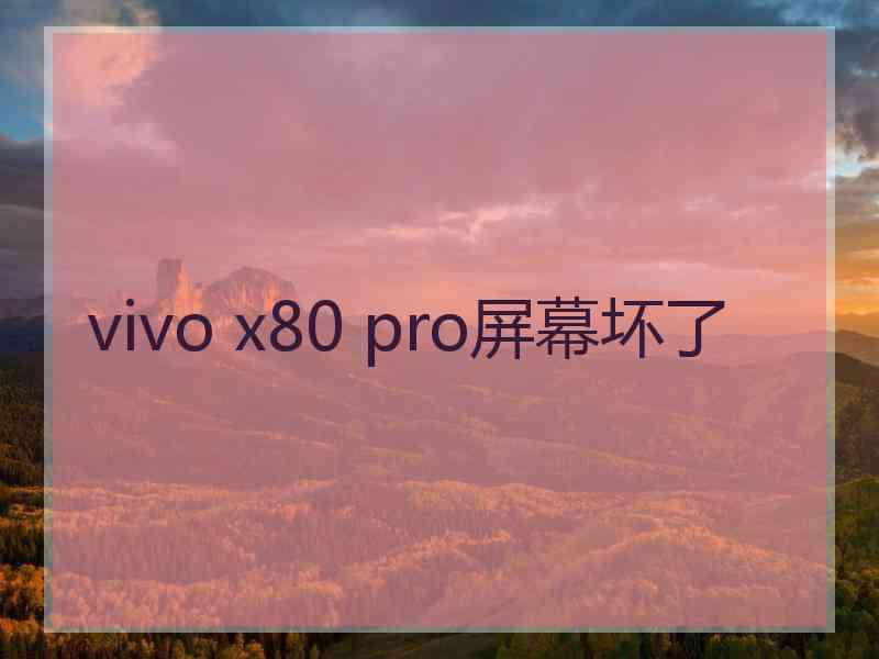 vivo x80 pro屏幕坏了