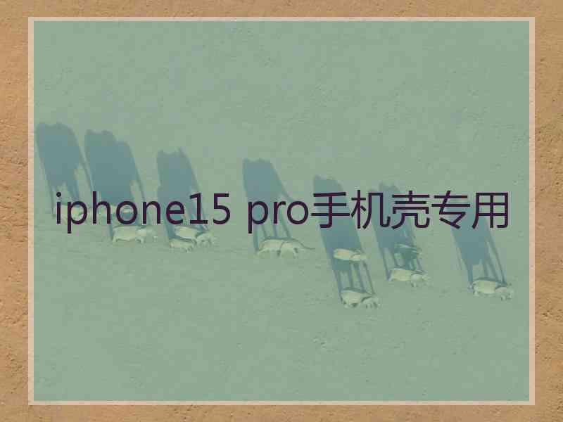 iphone15 pro手机壳专用