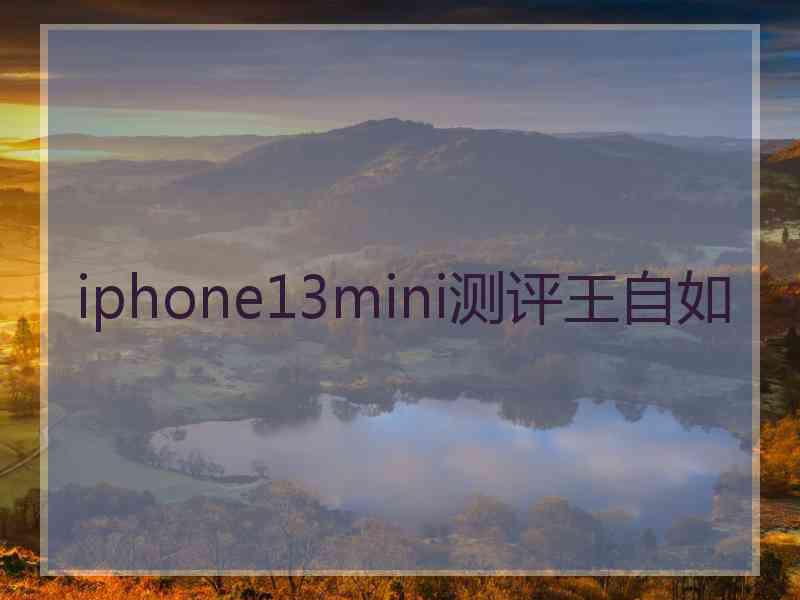 iphone13mini测评王自如