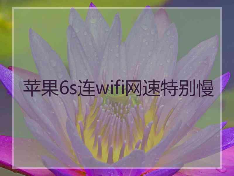 苹果6s连wifi网速特别慢