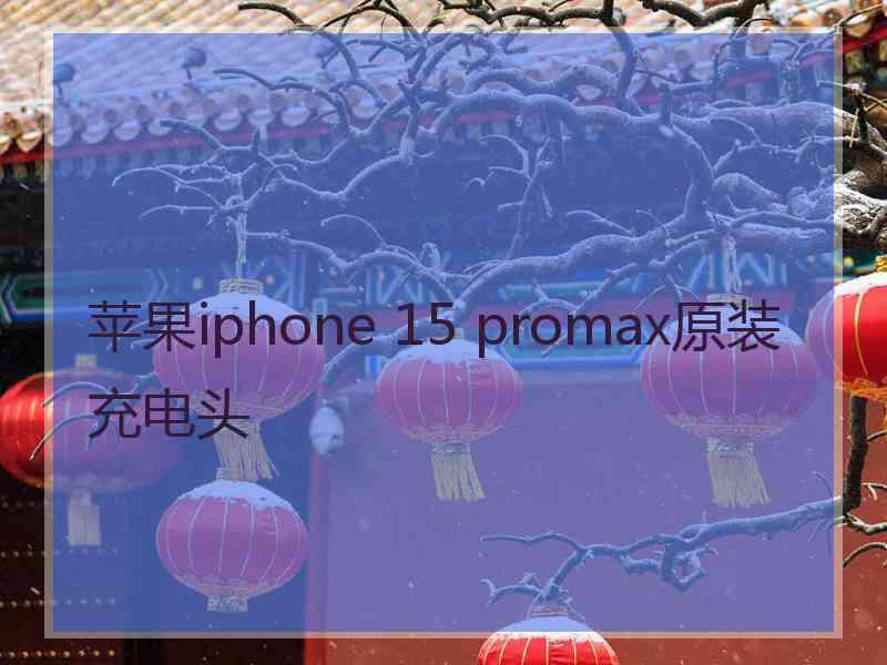 苹果iphone 15 promax原装充电头