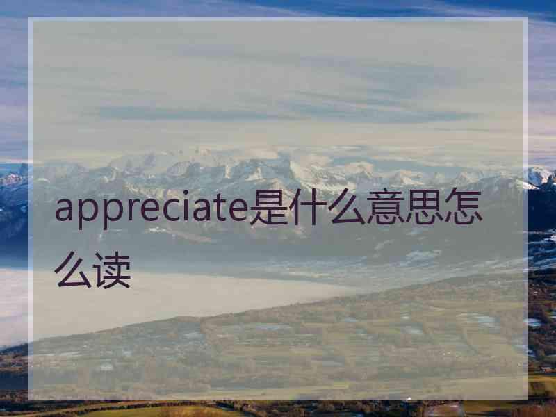 appreciate是什么意思怎么读