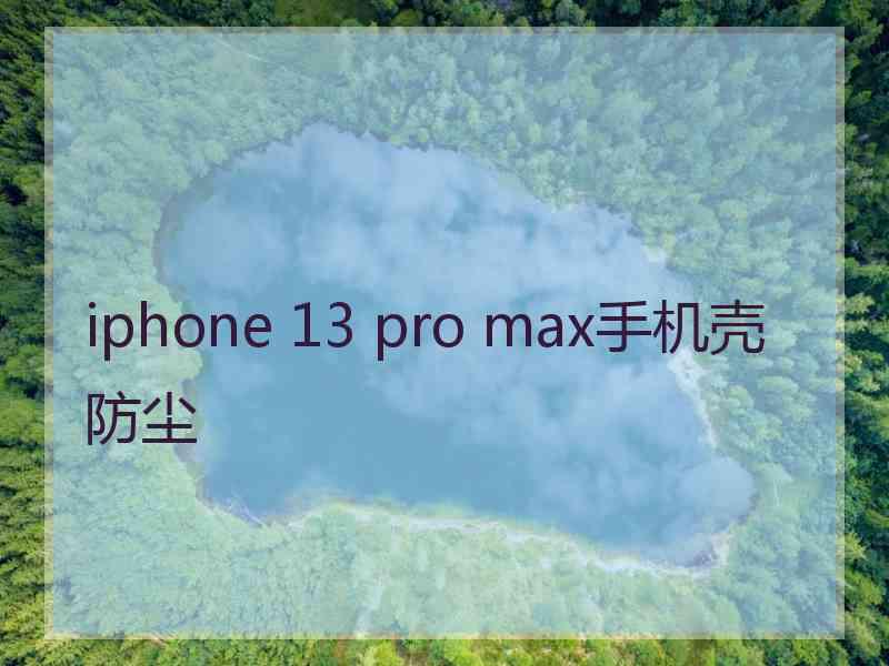 iphone 13 pro max手机壳防尘