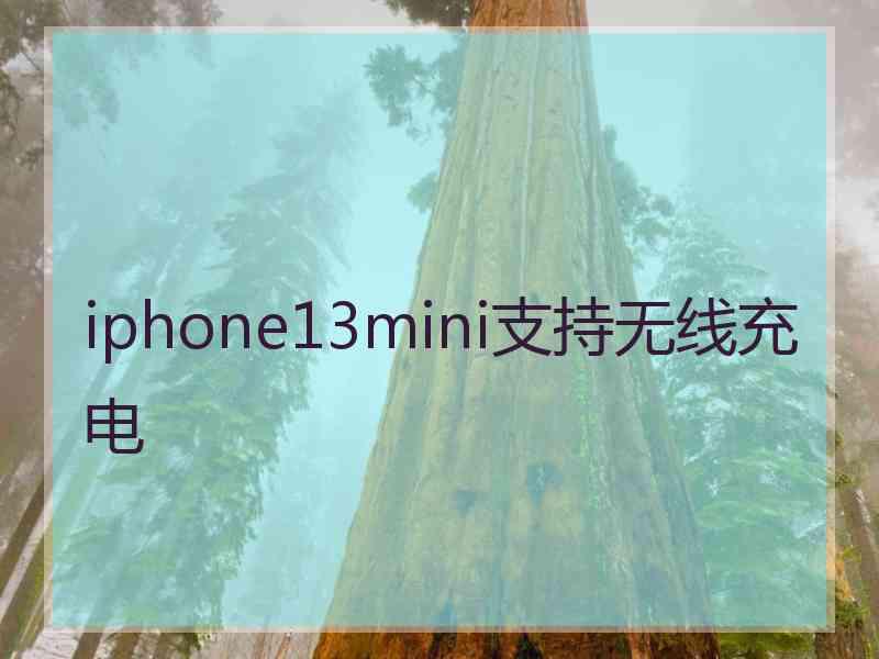 iphone13mini支持无线充电