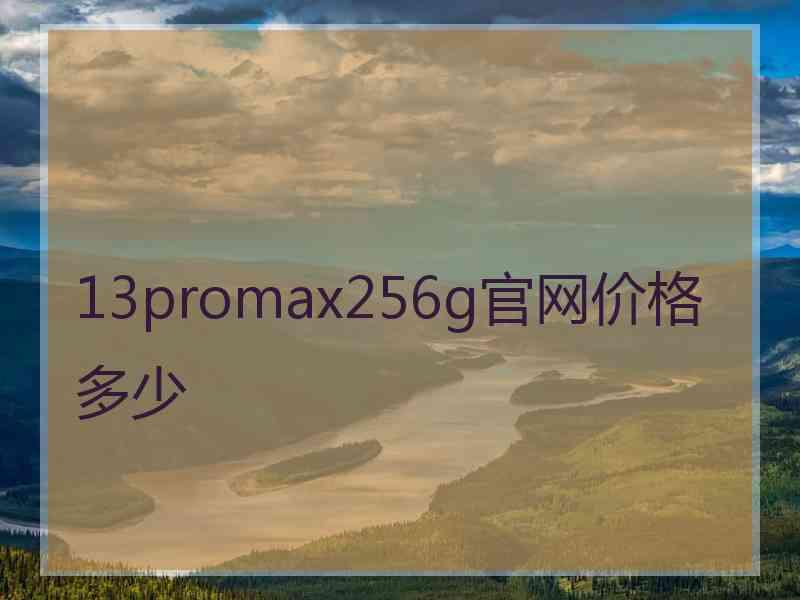 13promax256g官网价格多少