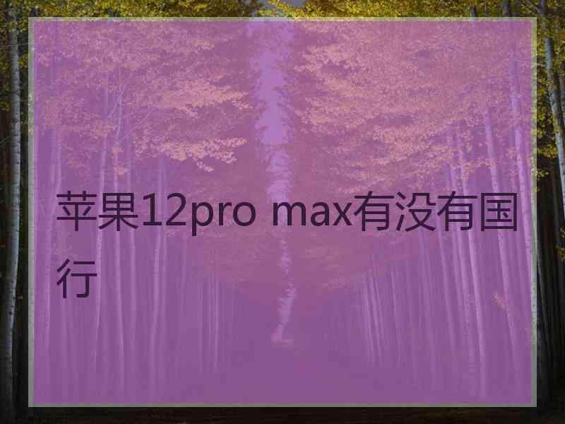 苹果12pro max有没有国行