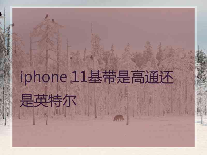 iphone 11基带是高通还是英特尔