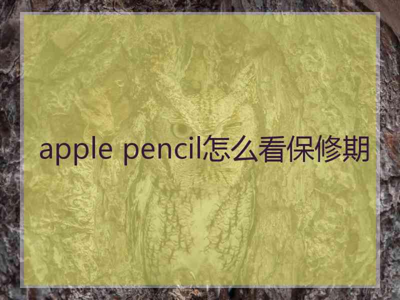 apple pencil怎么看保修期