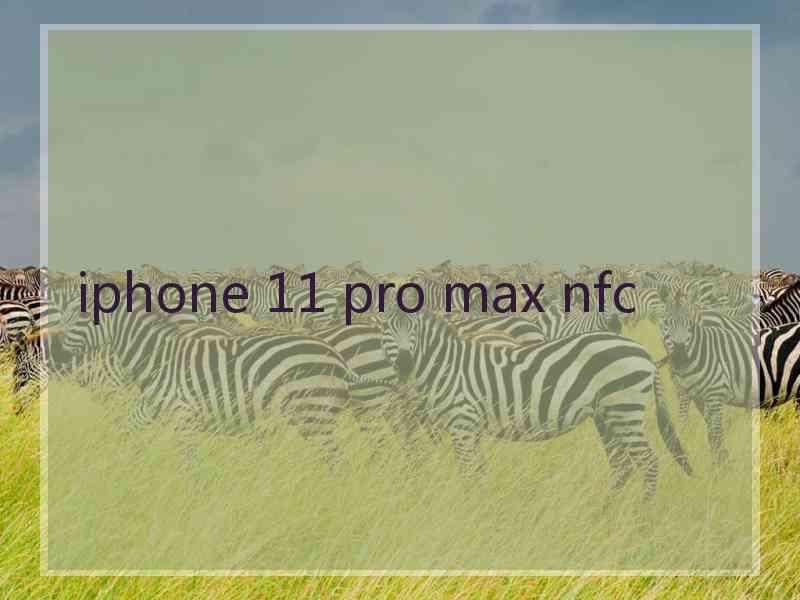 iphone 11 pro max nfc