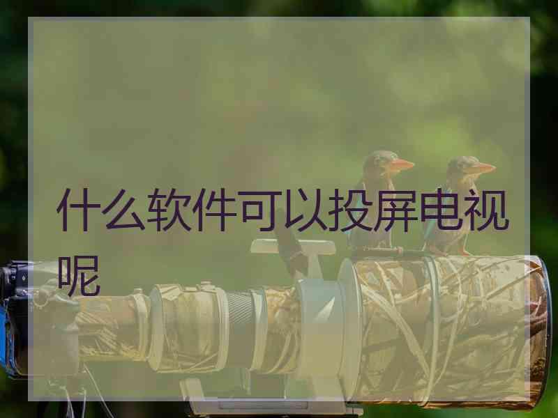 什么软件可以投屏电视呢