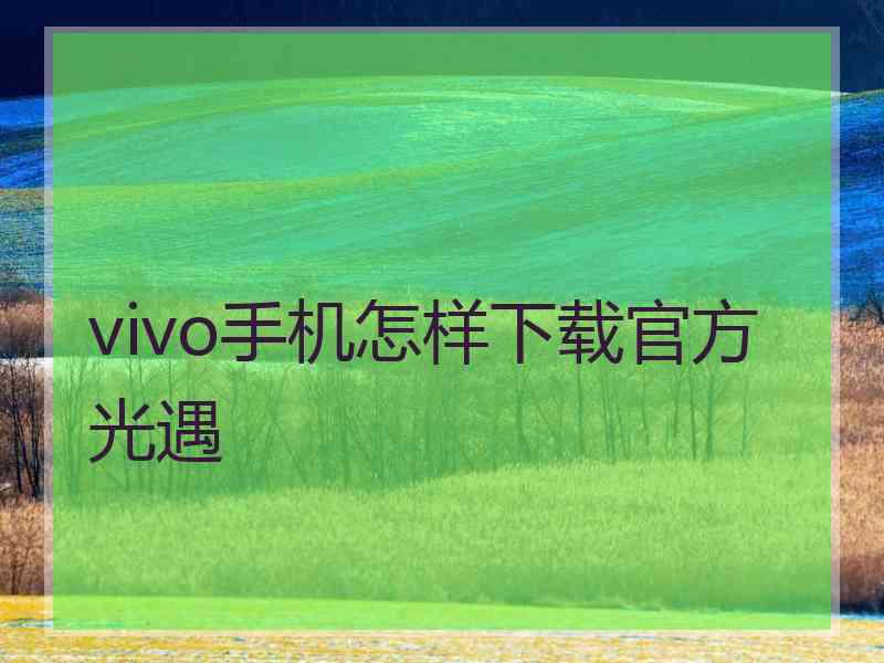 vivo手机怎样下载官方光遇