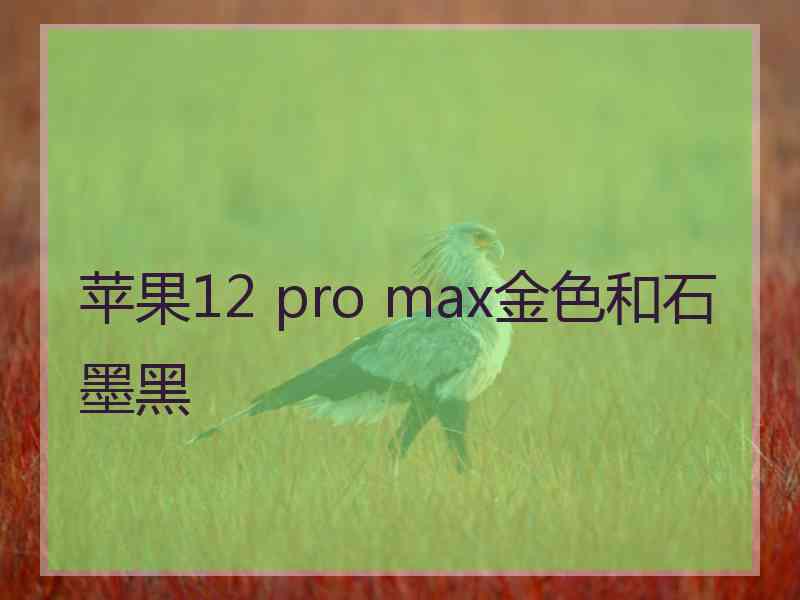 苹果12 pro max金色和石墨黑