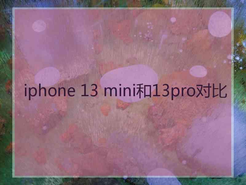 iphone 13 mini和13pro对比