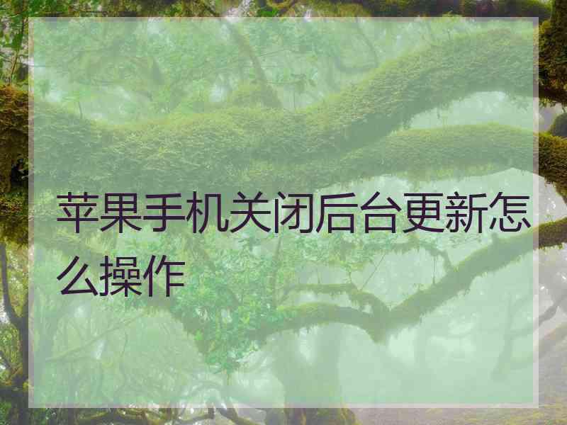 苹果手机关闭后台更新怎么操作