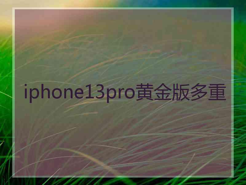 iphone13pro黄金版多重