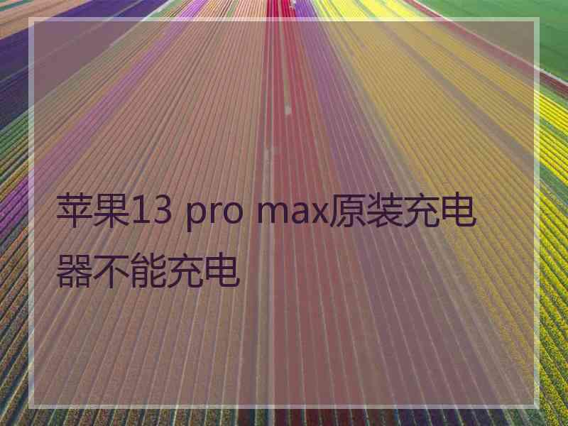 苹果13 pro max原装充电器不能充电