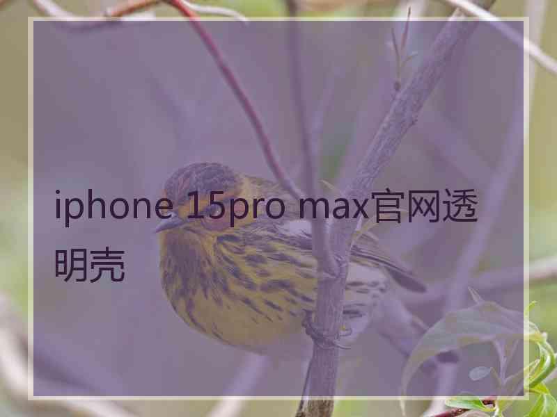 iphone 15pro max官网透明壳