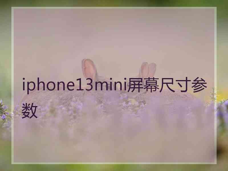 iphone13mini屏幕尺寸参数