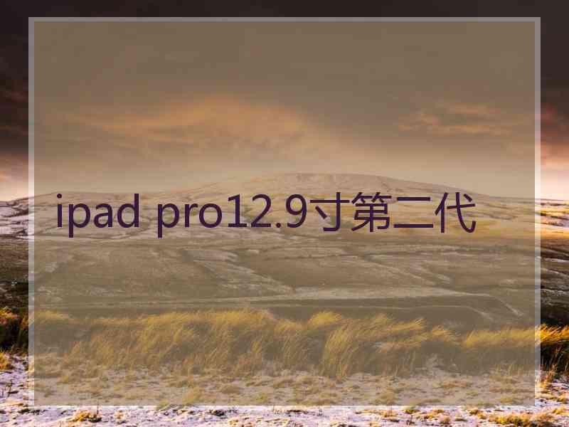 ipad pro12.9寸第二代