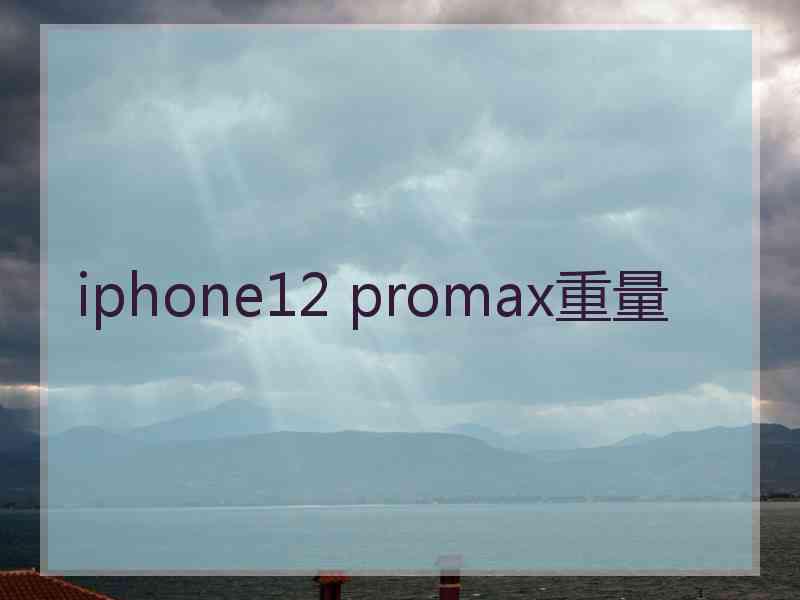 iphone12 promax重量