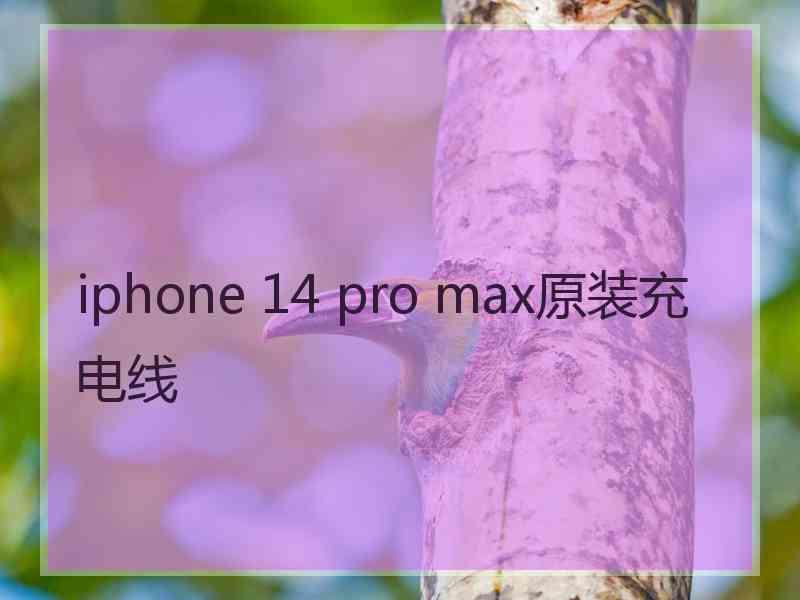 iphone 14 pro max原装充电线