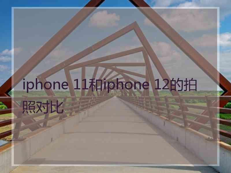 iphone 11和iphone 12的拍照对比