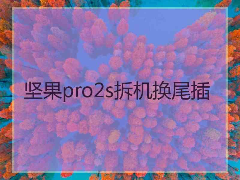 坚果pro2s拆机换尾插