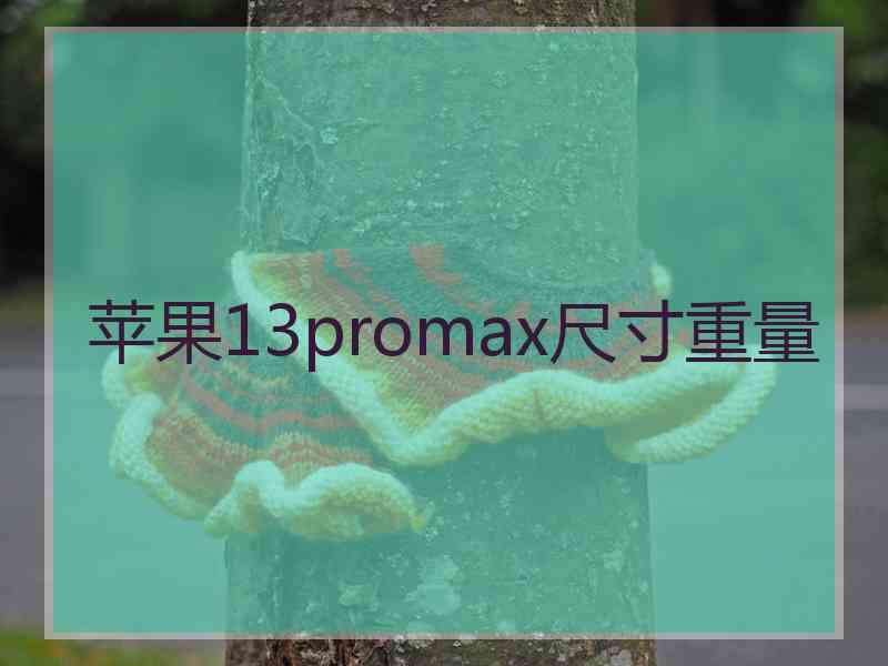 苹果13promax尺寸重量