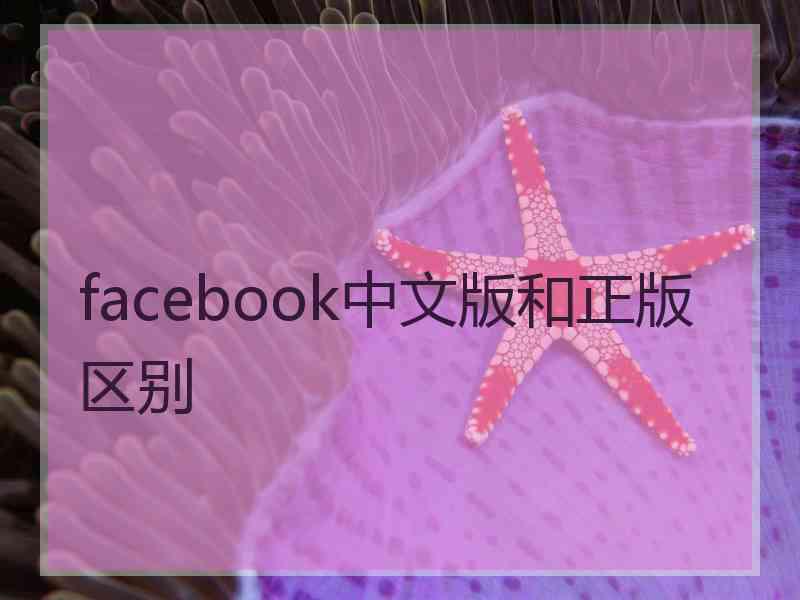 facebook中文版和正版区别