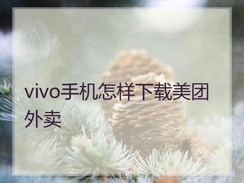 vivo手机怎样下载美团外卖