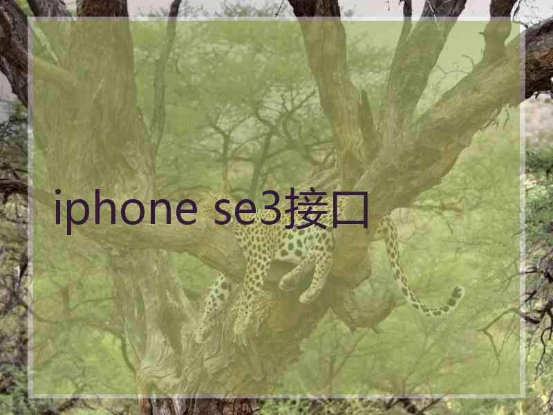 iphone se3接口