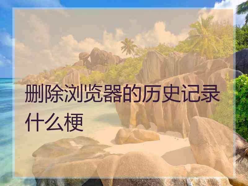 删除浏览器的历史记录什么梗