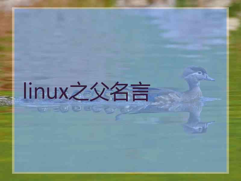 linux之父名言