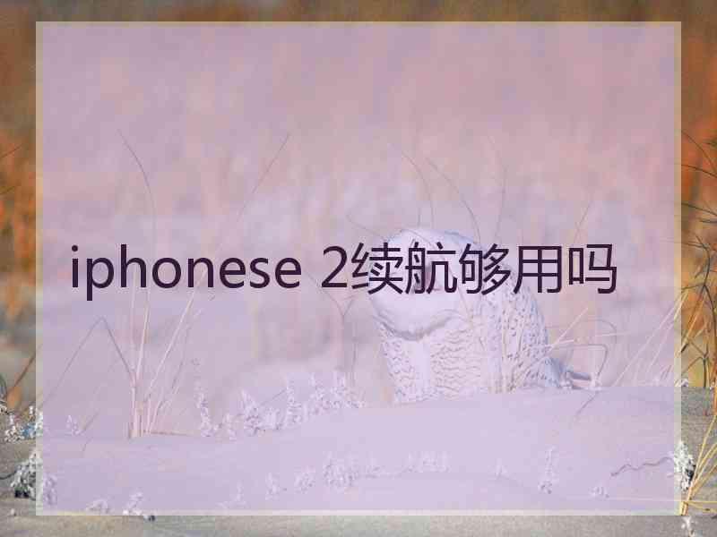 iphonese 2续航够用吗