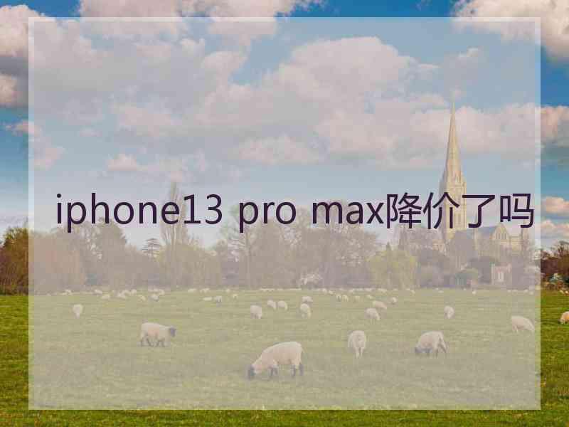 iphone13 pro max降价了吗