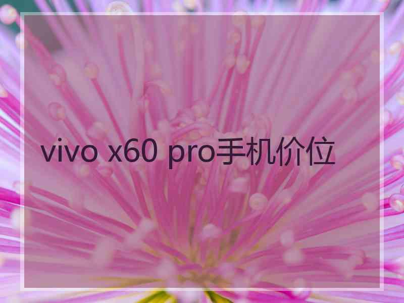 vivo x60 pro手机价位