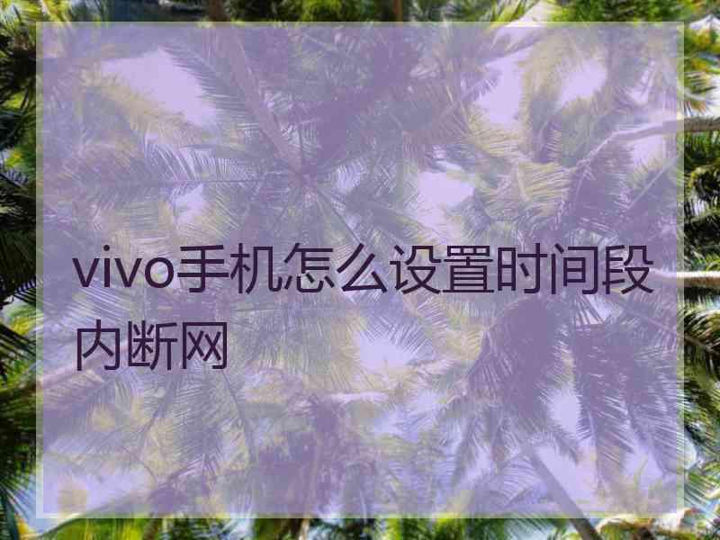 vivo手机怎么设置时间段内断网